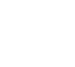 严正声（shēng）明（míng）